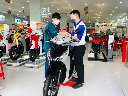 Nguồn cung dồi dào, giá bán ổn định