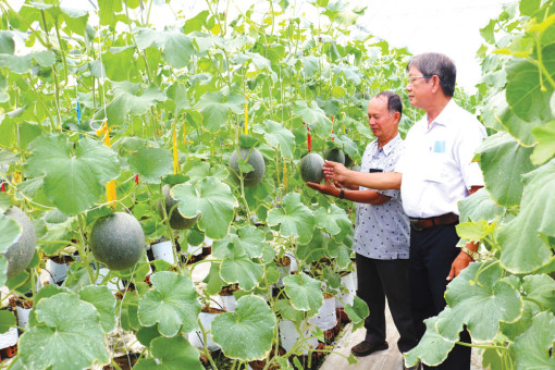 Nông dân bắt kịp xu thế mới