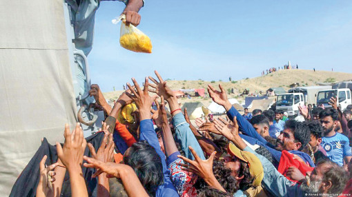 Bấp bênh an ninh lương thực!