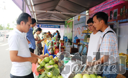 Phấn đấu có trên 60% hợp tác xã hoạt động hiệu quả năm 2023