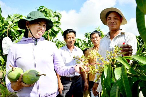 អត្រា​គ្រួសារ​ជន​ជាតិ​ភាគ​តិ​ចក្រីក្រ​នៅ​ខេត្ត​គៀង​យ៉ាង​ ថយចុះ​ជារៀង​រាល់​ឆ្នាំ​