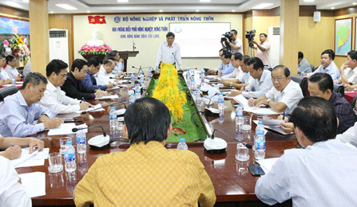 Ban Chỉ đạo PTNN&NT vùng ÐBSCL tăng cường hoạt động hỗ trợ phát triển sản xuất