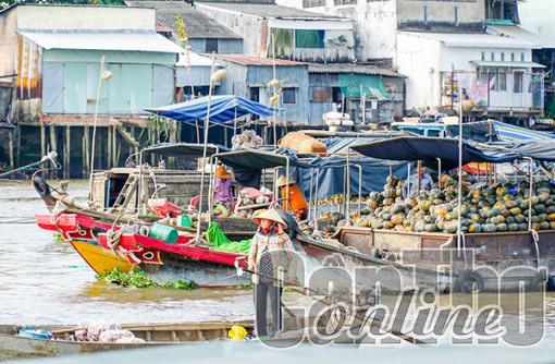 Trải nghiệm không gian văn hóa sông nước Chợ nổi Cái Răng