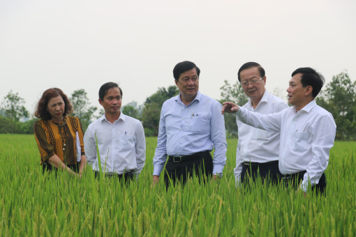 Lãnh đạo TP Cần Thơ kiểm tra tình hình sản xuất nông nghiệp và công tác tuyển quân tại huyện Cờ Đỏ