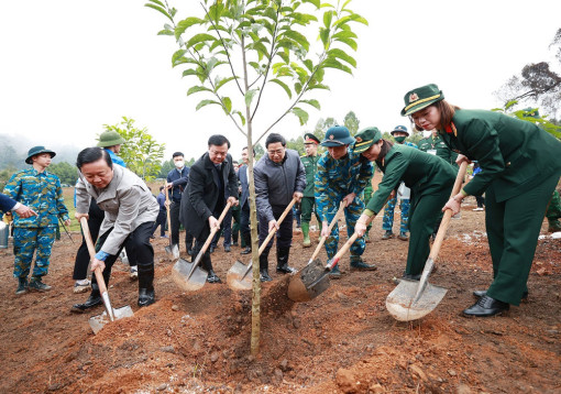 Triển khai Chỉ thị 03/CT-TTg: Góp sức trồng 1 tỉ cây xanh, vì một Việt Nam xanh