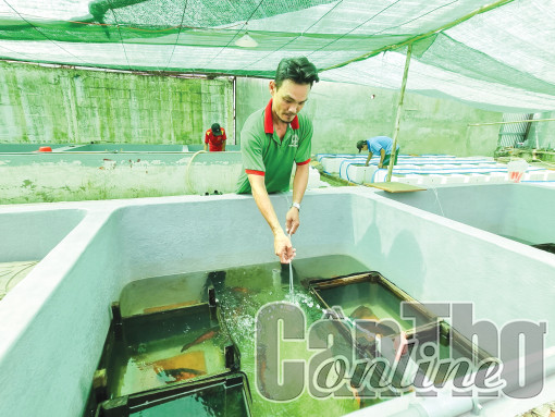 Phát huy các lợi thế nuôi thủy sản