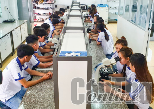 Đầu tư đào tạo nguồn nhân lực chất lượng cao