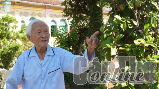 Nhân Lễ Tình nhân, nhắc lại chuyện “Người tình”