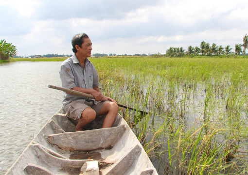 Kiên Giang: Nông dân “khát” nước mặn