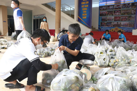 Hỗ trợ tiêu thụ 4 tấn cam sành cho nông dân tỉnh Vĩnh Long
