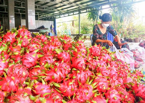 Thúc đẩy giao thương nông sản, thủy sản Việt - Trung trong bối cảnh mới