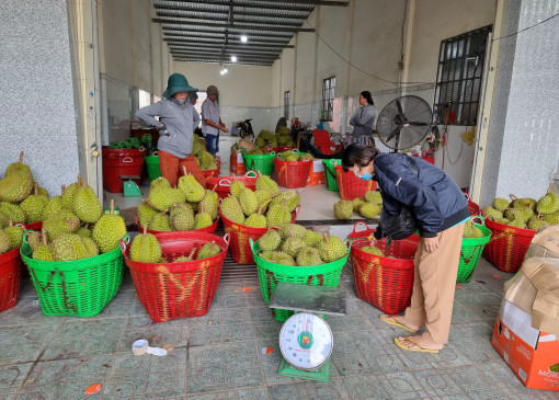Nhiều tiềm năng, lắm thách thức!