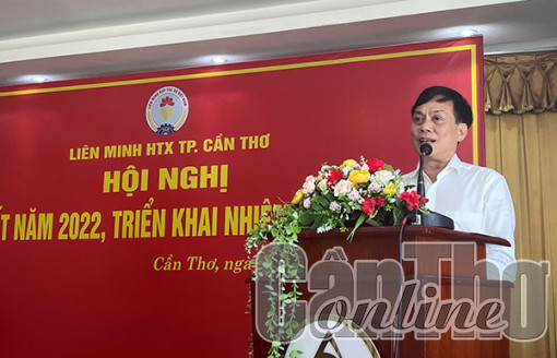 Mỗi quận, huyện có một hợp tác xã điển hình, gắn với thế mạnh của địa phương