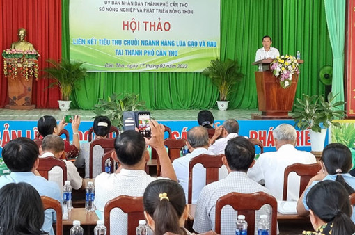 Thúc đẩy liên kết sản xuất, tiêu thụ lúa gạo và rau màu