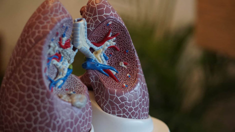 Bột hít giúp bảo vệ phổi khỏi nhiều loại virus