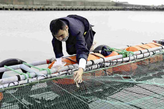 Nhật Bản ứng dụng AI vào nuôi cá lồng