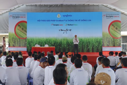 Hội thảo công nghệ tiên tiến trong canh tác lúa