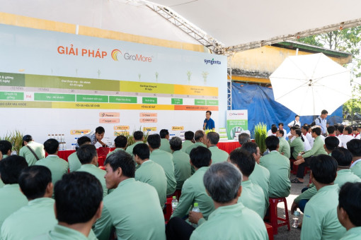 Reflect Xtra - công nghệ đột phá thời kỳ nuôi đòng 50-60 ngày sau sạ