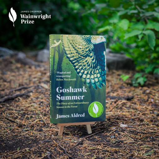 Thay đổi tích cực của ngành xuất bản Anh