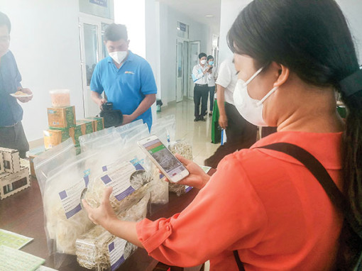 Nỗ lực chuyển đổi số hướng đến nông thôn mới thông minh