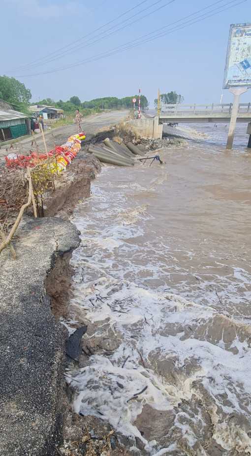 Khẩn trương xử lý tình trạng sạt lở đê biển Ðông