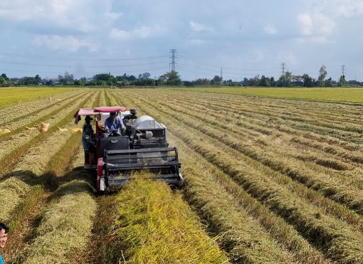 Nhu cầu lớn trong liên kết xây dựng vùng nguyên liệu nông sản sạch