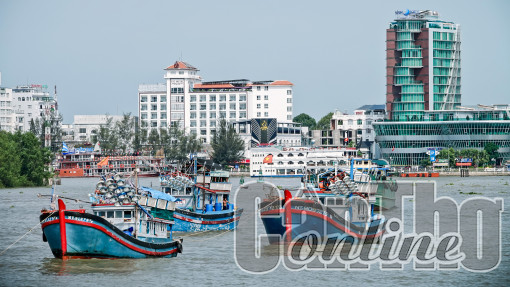 Tổ chức nhiều hoạt động kỷ niệm 20 năm thành lập TP Cần Thơ trực thuộc Trung ương