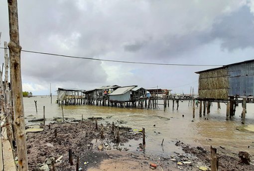 Cà Mau: Sạt lở làm mất hơn 5.200ha rừng