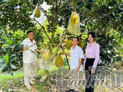 Diện mạo mới ở thị trấn Phong Điền