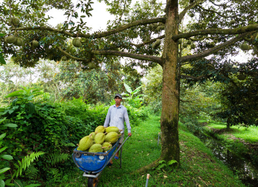 Cảnh báo nguy cơ nhiều rủi ro