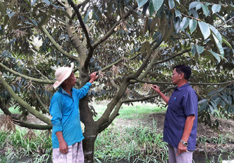 Hành động thiết thực vì dân