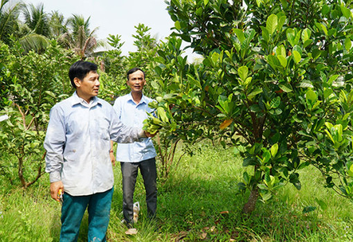 Xây dựng phường Tân Phú phát triển