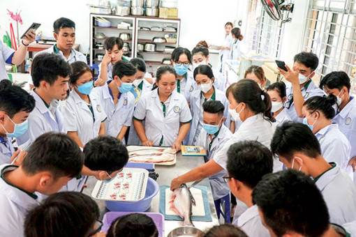 Những tín hiệu vui