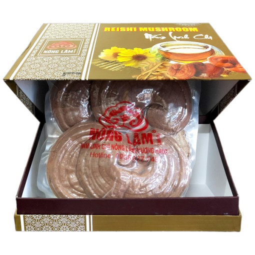 Nấm linh chi - "bài thuốc" cho sức khỏe và tăng cường sức đề kháng