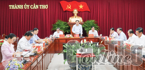 Khẩn trương thực hiện các thủ tục để khởi công Dự án Khu công nghiệp Vĩnh Thạnh (VSIP Cần Thơ) đúng kế hoạch