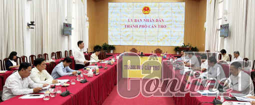 Đoàn đại biểu Quốc hội đơn vị thành phố giám sát việc thực hiện chính sách, pháp luật về phát triển năng lượng tại thành phố