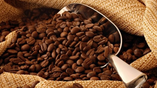 Vietnam remains world’s second-largest coffee exporter