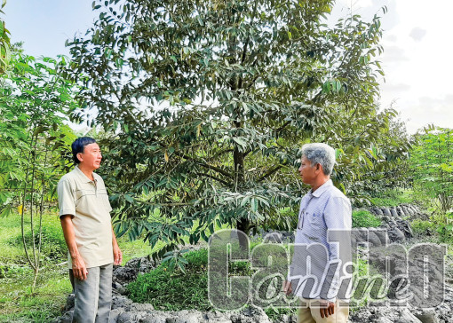 Đoàn kết xây dựng khu dân cư