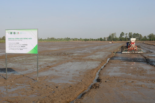 Giảm giống bằng giải pháp tăng cường cơ giới hóa