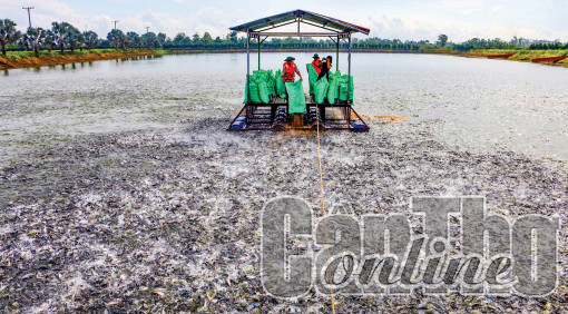 Phát huy lợi thế, tiềm năng phát triển thị trường xuất khẩu