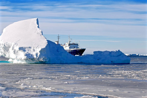 Nguy cơ mầm bệnh do biến đổi khí hậu làm tan băng Bắc cực