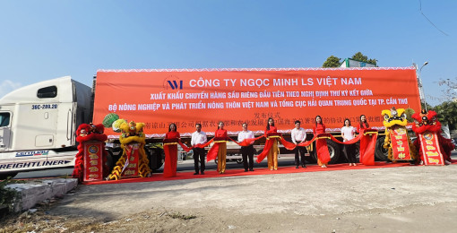 Xuất khẩu chính ngạch lô sầu riêng đầu tiên từ TP Cần Thơ sang Trung Quốc
