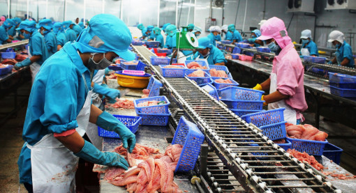 Nhiều dư địa xuất khẩu nông lâm thủy sản vào thị trường Trung Quốc