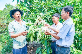 Diện mạo mới ở xã Trường Thành