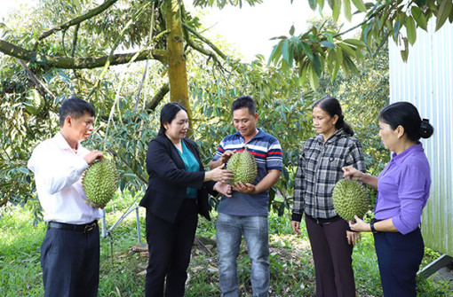 Ðòn bẩy giúp nông dân làm giàu