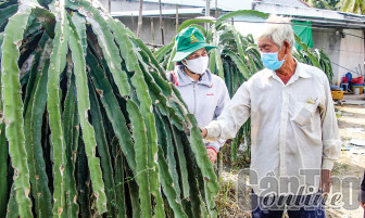 TP Cần Thơ: Phấn đấu có 2.000 tổ hợp tác, 400 hợp tác xã và 5 liên hiệp hợp tác xã