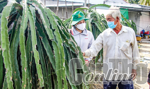 TP Cần Thơ: Phấn đấu có 2.000 tổ hợp tác, 400 hợp tác xã và 5 liên hiệp hợp tác xã