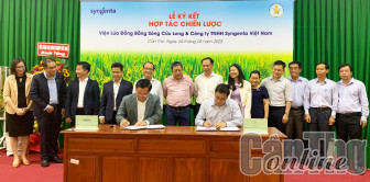 Viện Lúa ĐBSCL cùng Syngenta Việt Nam ký kết hợp tác nghiên cứu và phát triển giống lúa