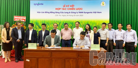Viện Lúa ĐBSCL cùng Syngenta Việt Nam ký kết hợp tác nghiên cứu và phát triển giống lúa