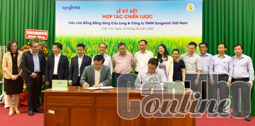 Viện Lúa ĐBSCL cùng Syngenta Việt Nam ký kết hợp tác nghiên cứu và phát triển giống lúa